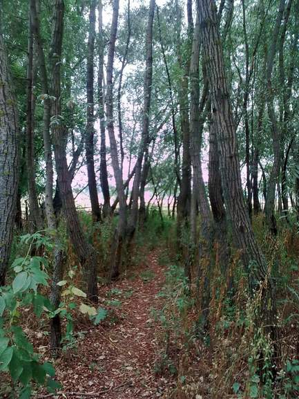 1-blog-carare-izvoru-florin-image13486