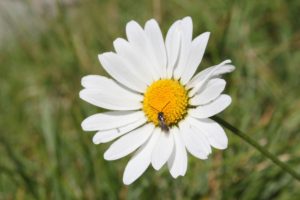 img_0633