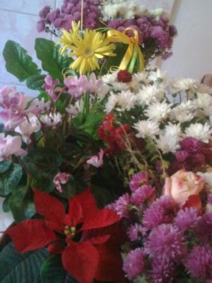 blog-29-11-2016-image14298