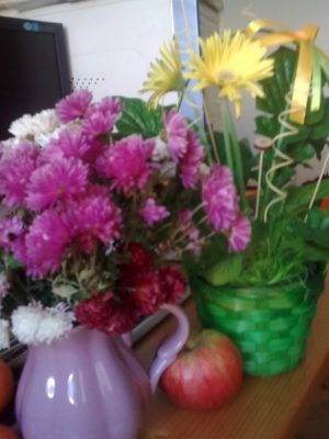 blog-image14277