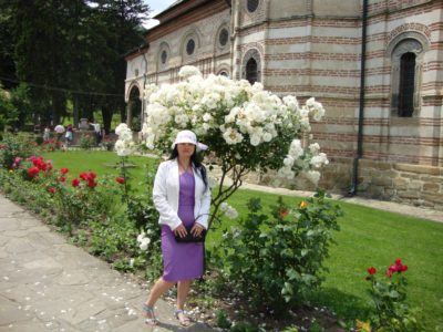 flori-albe-cozia-et-nico-dsc00802
