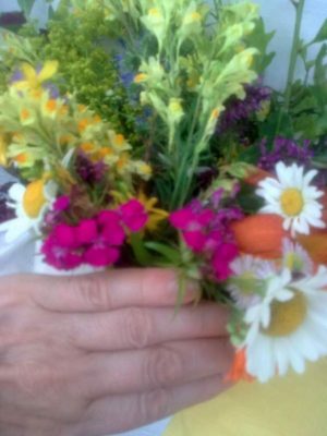 blog-mana-mea-image8082