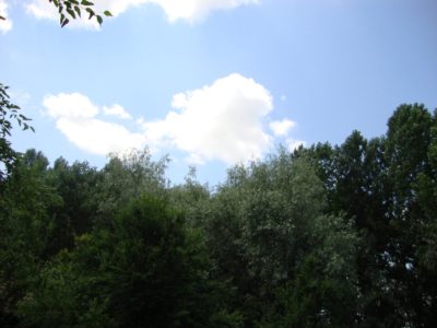dsc00651