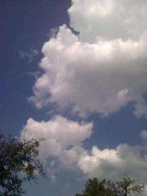 cer cuza Image3736