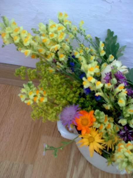 din balcon linaria Image8097