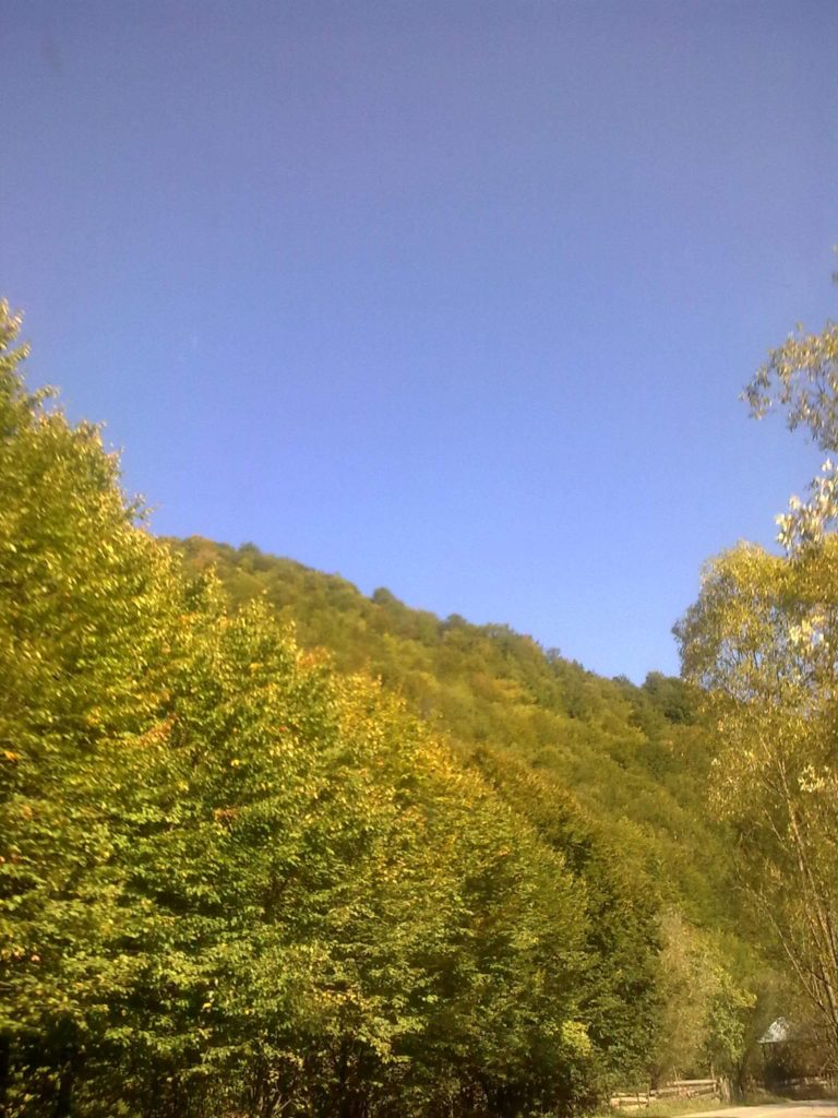 ultima poză blog 24 ian 2017Image4091