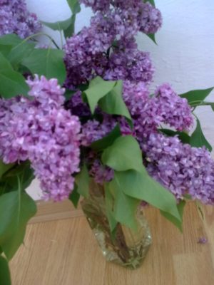pt MAbalcon liliac vazăImage6775