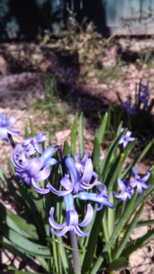 IMG_20170322_102621