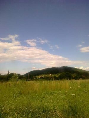 Susenii bârgăului meleag