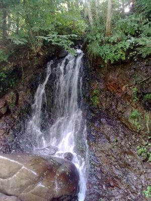 meleaguri bistriţene j n cascada