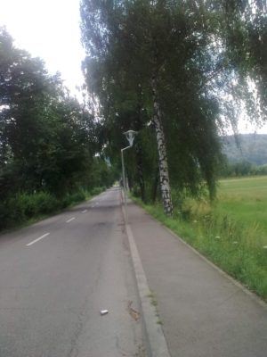 1 alee spre m voroneţ mesteceni Image16302