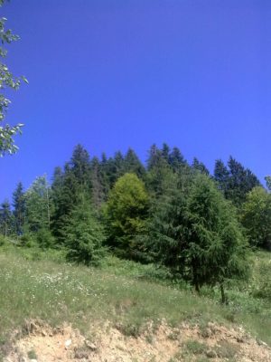 1 blog albastru infinit
