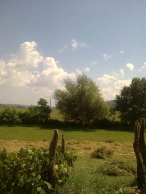 băbuşa grădina copilăriei mele