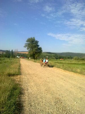 drumul dintre băbuşa şi băceşti 20 iulie 2017
