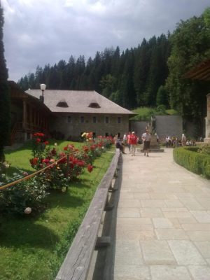 incinta M Voroneţ Image16304