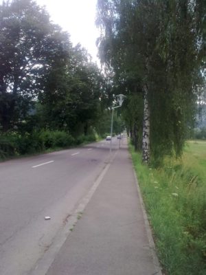 spre Voroneţ Image16300