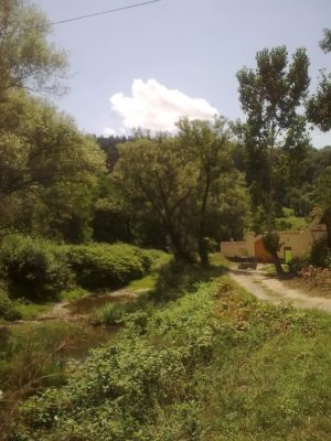 imagine din satul Viscri foto jeniţa naidin